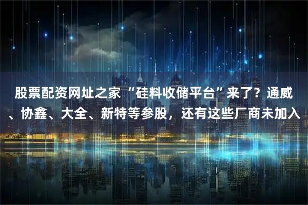 股票配资网址之家 “硅料收储平台”来了？通威、协鑫、大全、新特等参股，还有这些厂商未加入